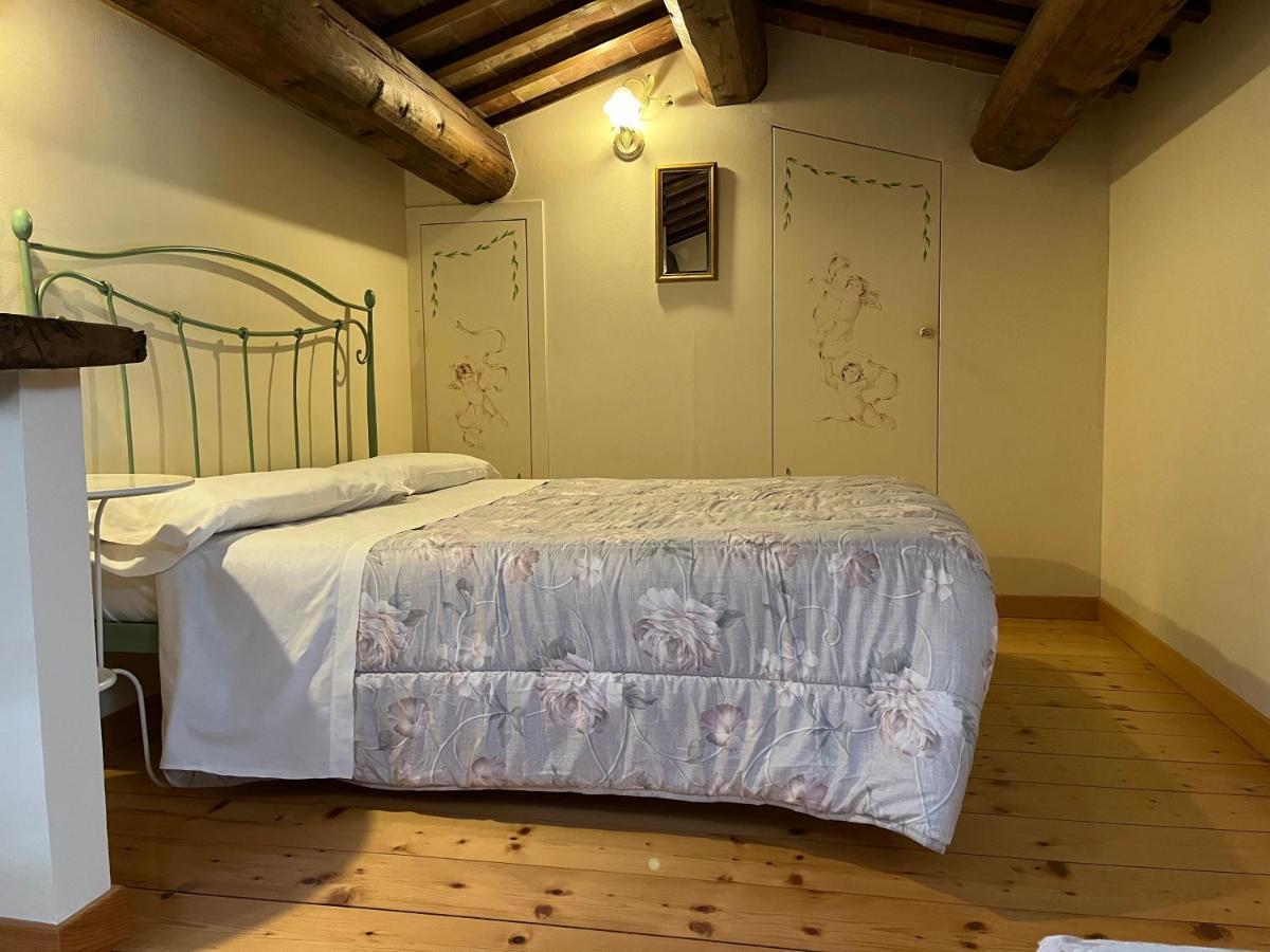 Valle Del Metauro Country House Montemaggiore al Metauro Exteriör bild